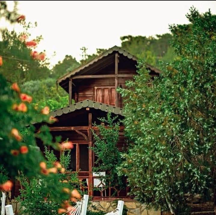 فندق Olympos Talara By Arzum Kumluca المظهر الخارجي الصورة