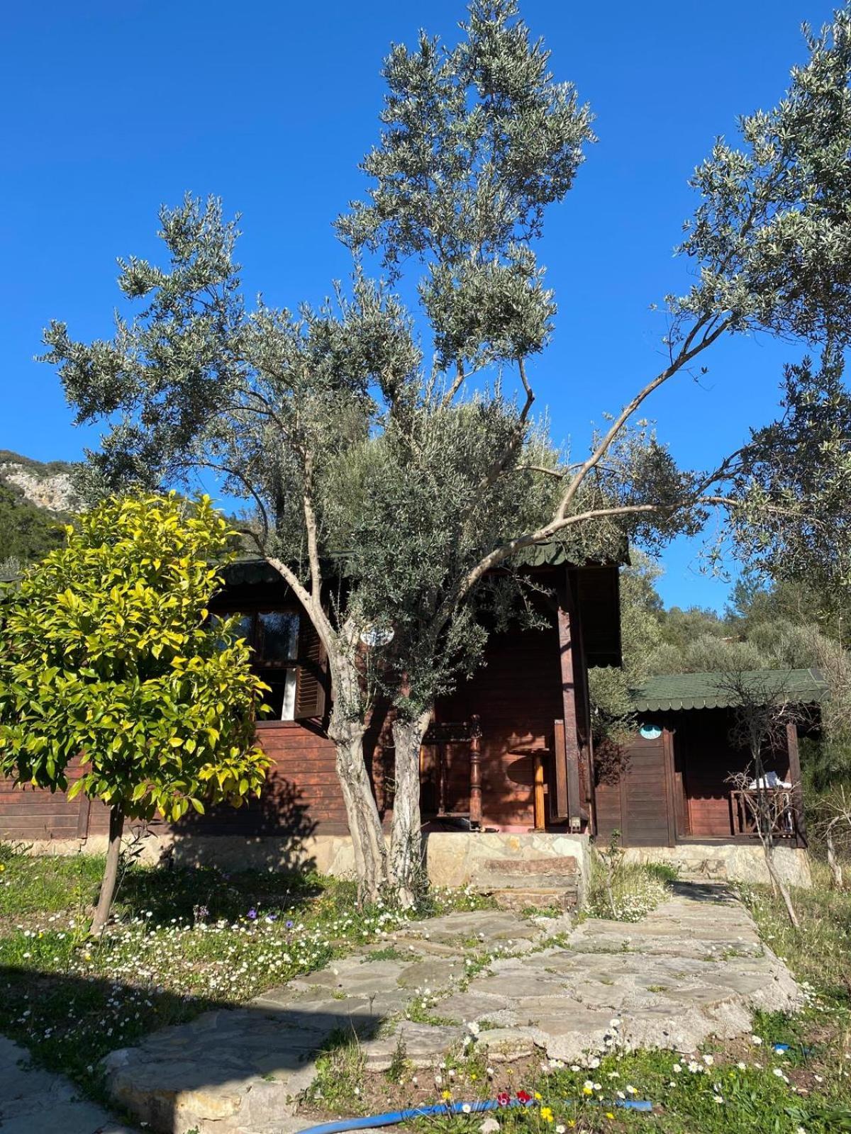 فندق Olympos Talara By Arzum Kumluca المظهر الخارجي الصورة
